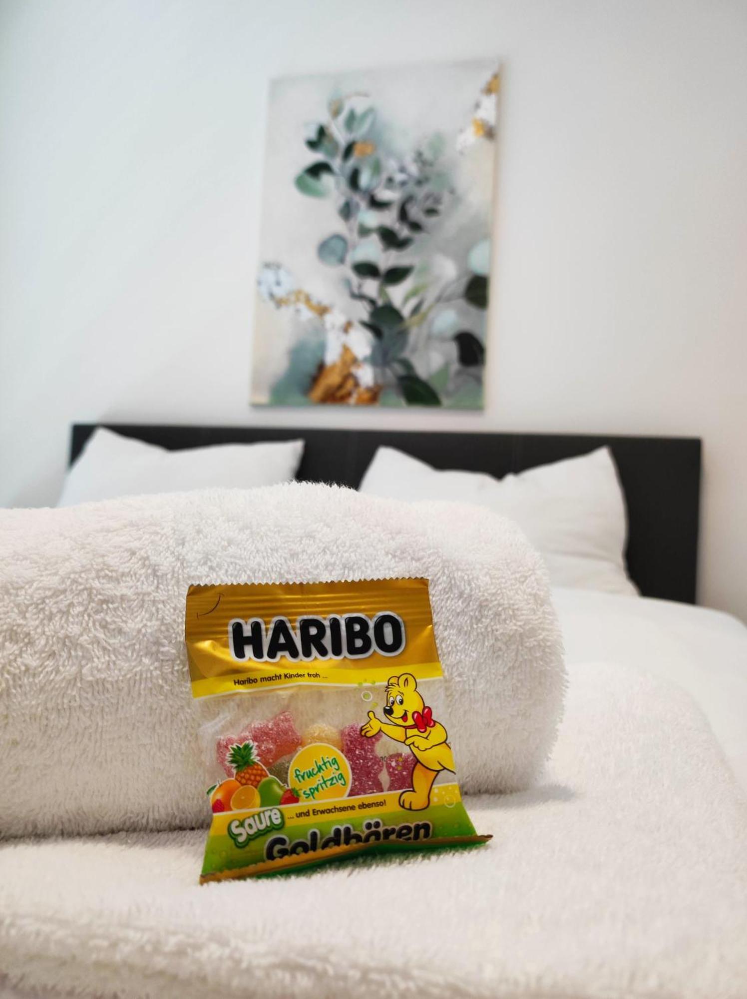 Apartamento Roksox-home Gegenueber Des International Center Und Kaiserwasser